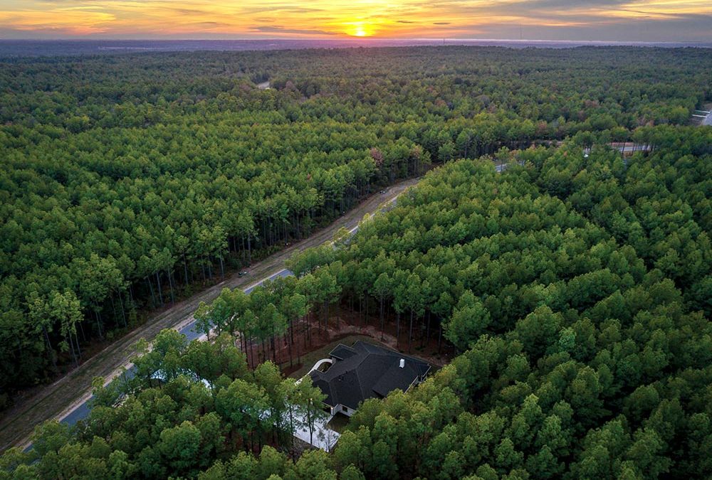 For Buyers Seeking Exclusivity, Republic Grand Ranch Unveils “Where The Forest Meets Luxury”